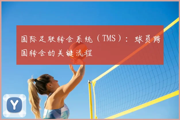 国际足联转会系统（TMS）：球员跨国转会的关键流程