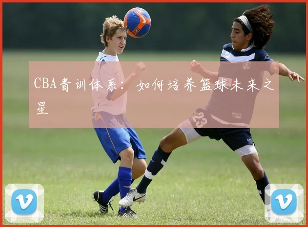 CBA青训体系:如何培养篮球未来之星