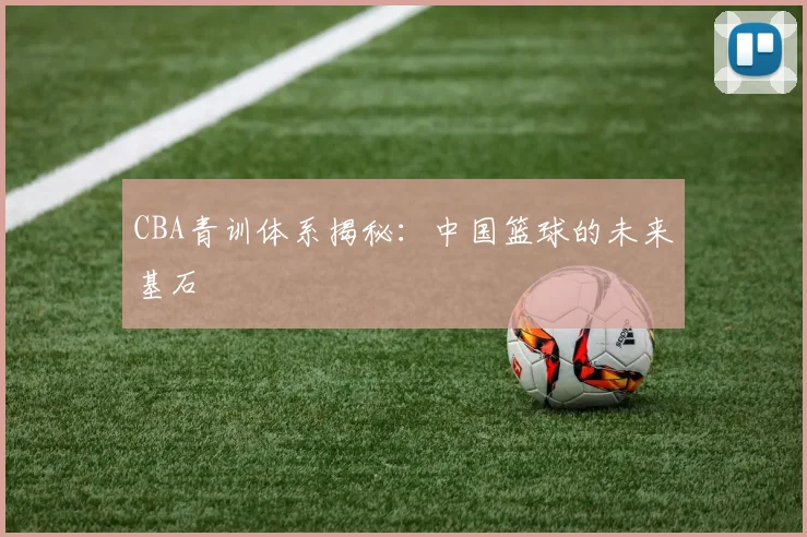 CBA青训体系揭秘：中国篮球的未来基石
