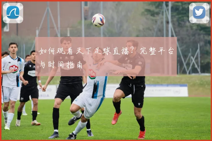 如何观看天下足球直播？完整平台与时间指南