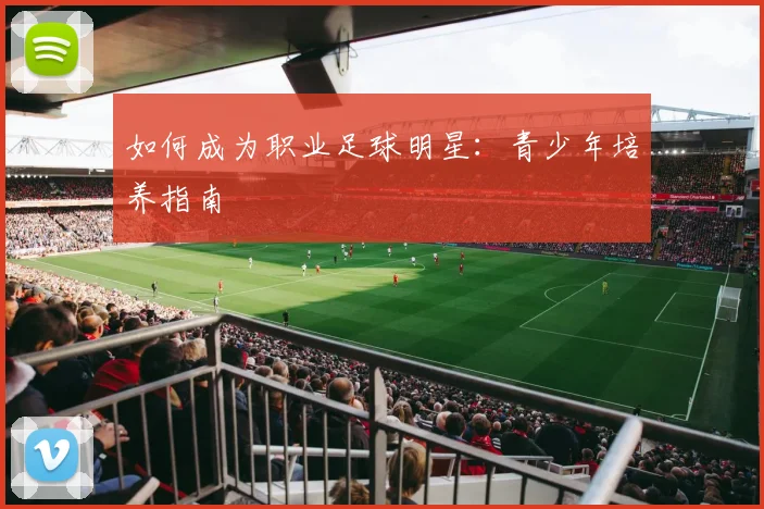 如何成为职业足球明星：青少年培养指南