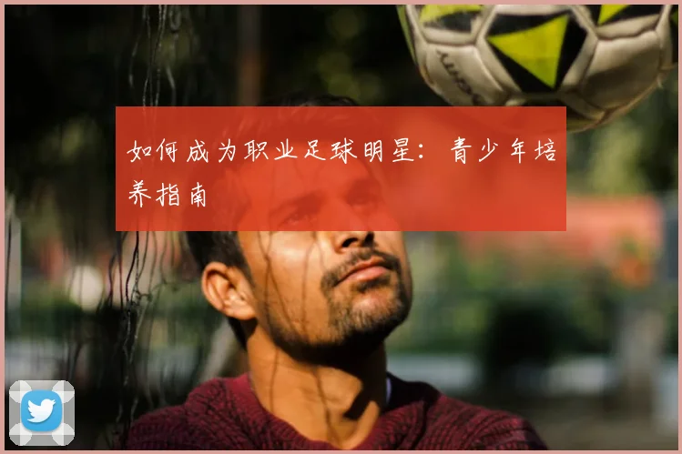 如何成为职业足球明星：青少年培养指南